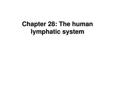 Chapter 28: The human lymphatic system