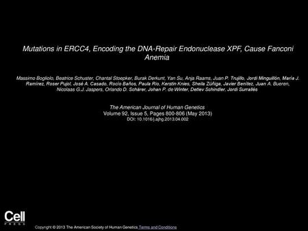 Mutations in ERCC4, Encoding the DNA-Repair Endonuclease XPF, Cause Fanconi Anemia  Massimo Bogliolo, Beatrice Schuster, Chantal Stoepker, Burak Derkunt,