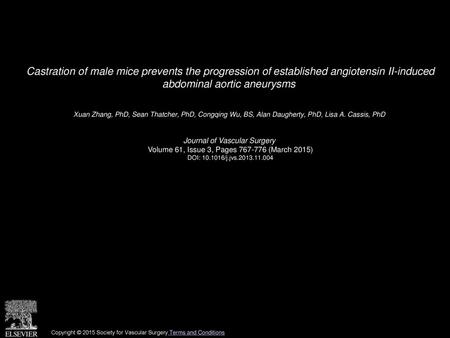 Castration of male mice prevents the progression of established angiotensin II-induced abdominal aortic aneurysms  Xuan Zhang, PhD, Sean Thatcher, PhD,