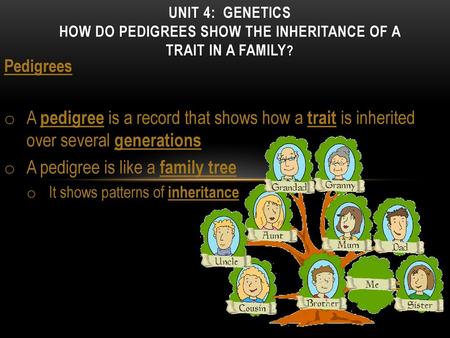 A pedigree is like a family tree