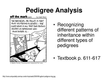 Pedigree Analysis Recognizing different patterns of inheritance within different types of pedigrees Textbook p. 611-617 When geneticists want to learn.