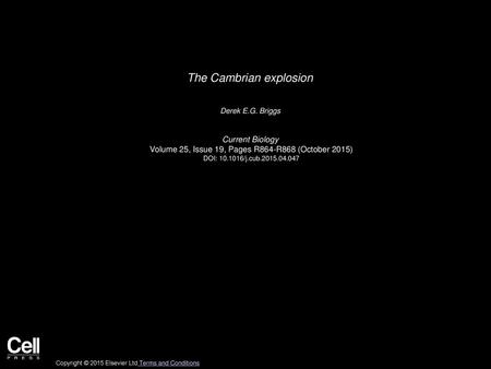 The Cambrian explosion