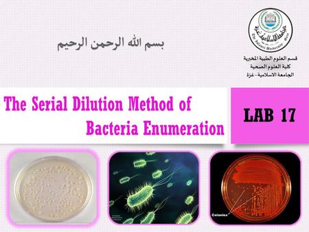 Introduction Many studies require the quantitative determination of bacterial populations. The two most widely used methods for determining bacterial.