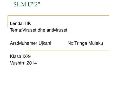 Sh.M.U’’2’’ Lënda:TIK Tema:Viruset dhe antiviruset