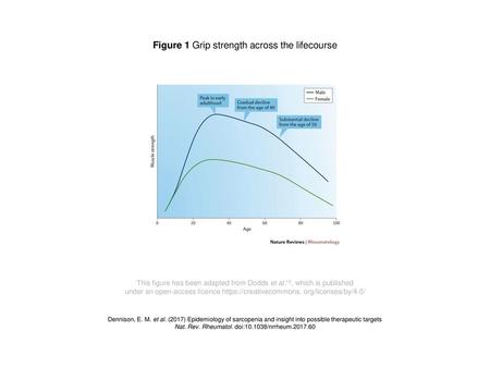 Figure 1 Grip strength across the lifecourse