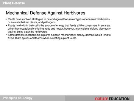 Mechanical Defense Against Herbivores