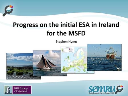 Progress on the initial ESA in Ireland for the MSFD