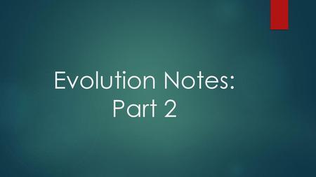 Evolution Notes: Part 2.