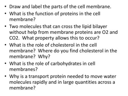 Draw and label the parts of the cell membrane.