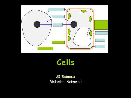 S1 Science Biological Sciences