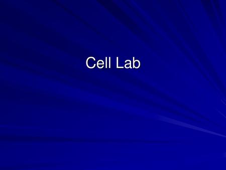 Cell Lab.