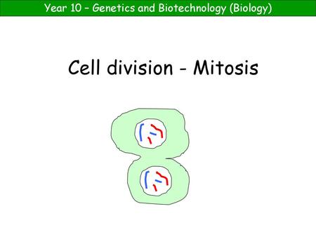 Cell division - Mitosis