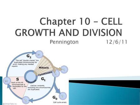 Chapter 10 – CELL GROWTH AND DIVISION