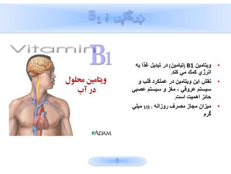 ويتامين B1 ويتامين B1 (تيامين) در تبديل غذا به انرژي كمك مي كند.