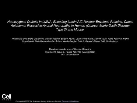 Homozygous Defects in LMNA, Encoding Lamin A/C Nuclear-Envelope Proteins, Cause Autosomal Recessive Axonal Neuropathy in Human (Charcot-Marie-Tooth Disorder.