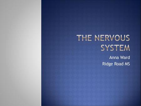 The Nervous System Anna Ward Ridge Road MS.