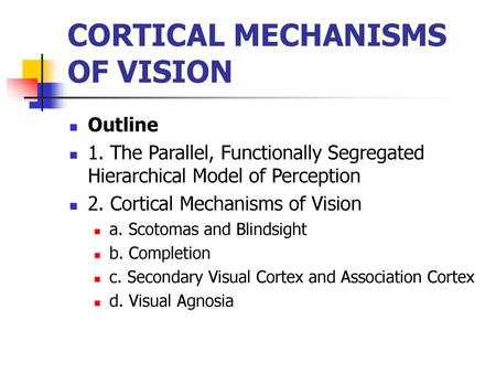 CORTICAL MECHANISMS OF VISION