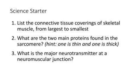 Science Starter List the connective tissue coverings of skeletal muscle, from largest to smallest What are the two main proteins found in the sarcomere?