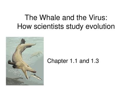 The Whale and the Virus: How scientists study evolution