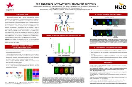 XLF AND XRCC4 INTERACT WITH TELOMERIC PROTEINS Anderson, Chris1; Baidon, Mario1; Anderson, Spencer2; Tran, Phung2; Luna, Paloma2; Jain, R.2; Jabbur, J.2;