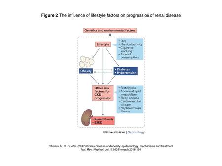 Nat. Rev. Nephrol. doi: /nrneph