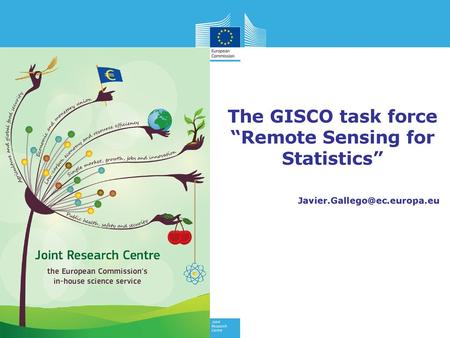 The GISCO task force “Remote Sensing for Statistics”