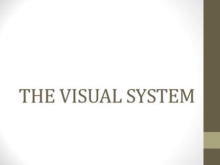 THE VISUAL SYSTEM.