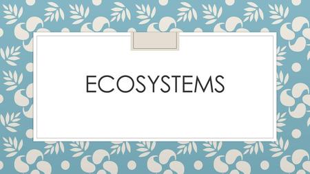 Ecosystems.