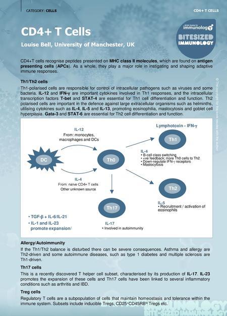 From: monocytes, macrophages and DCs