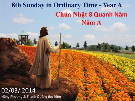 8th Sunday in Ordinary Time - Year A Chúa Nhật 8 Quanh Năm Năm A