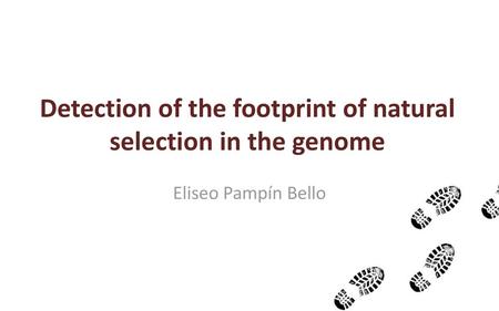 Detection of the footprint of natural selection in the genome