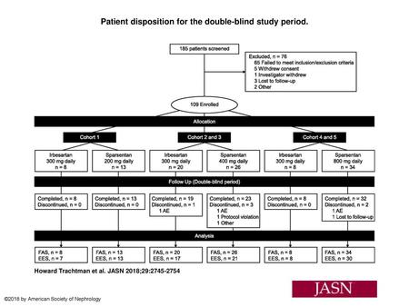 Patient disposition for the double-blind study period.