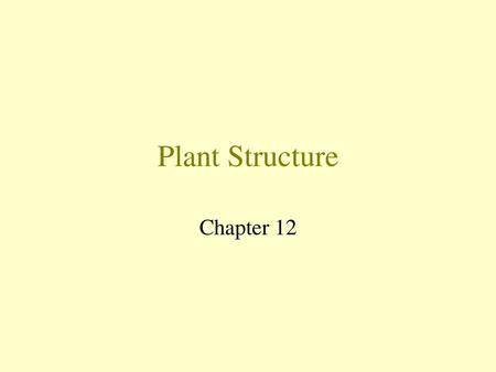 Plant Structure Chapter 12.