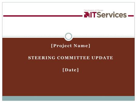 [Project Name] STEERING COMMITTEE UPDATE [Date]