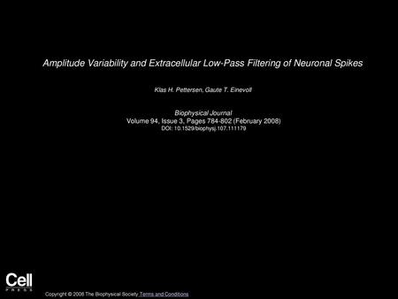 Klas H. Pettersen, Gaute T. Einevoll  Biophysical Journal 