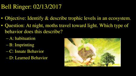 Bell Ringer: 02/13/2017 Objective: Identify & describe trophic levels in an ecosystem. Question: At night, moths travel toward light. Which type of behavior.