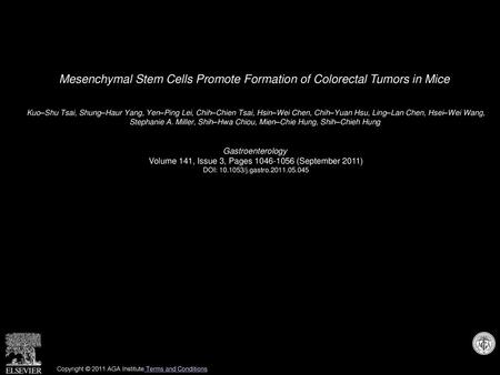 Mesenchymal Stem Cells Promote Formation of Colorectal Tumors in Mice