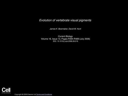 Evolution of vertebrate visual pigments