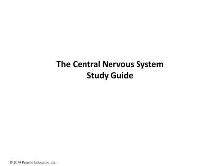 The Central Nervous System