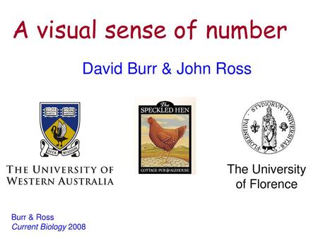 A visual sense of number