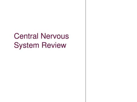 Central Nervous System Review