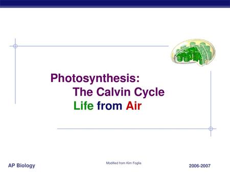 Photosynthesis: The Calvin Cycle Life from Air