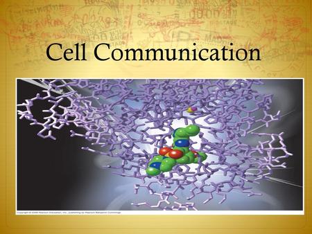 Cell Communication.