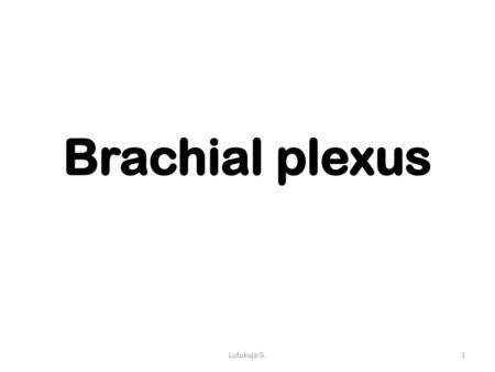 Brachial plexus Lufukuja G..