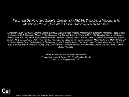 Recurrent De Novo and Biallelic Variation of ATAD3A, Encoding a Mitochondrial Membrane Protein, Results in Distinct Neurological Syndromes  Tamar Harel,