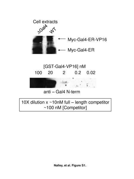 10X dilution x ~10nM full – length competitor