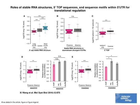 Roles of stable RNA structures, 5ʹ TOP sequences, and sequence motifs within 5ʹUTR for translational regulation Roles of stable RNA structures, 5ʹ TOP.