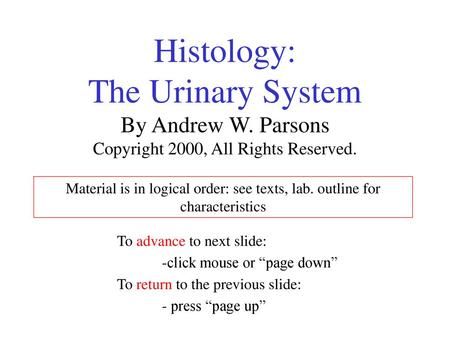 Histology: The Urinary System By Andrew W