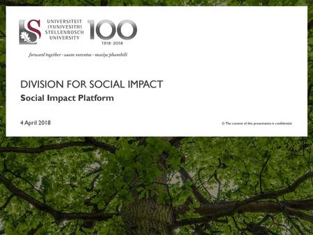 DIVISION FOR SOCIAL IMPACT