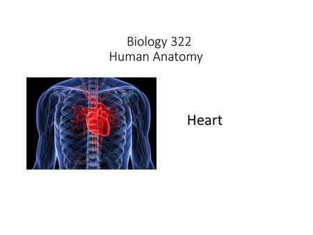 Biology 322 Human Anatomy I